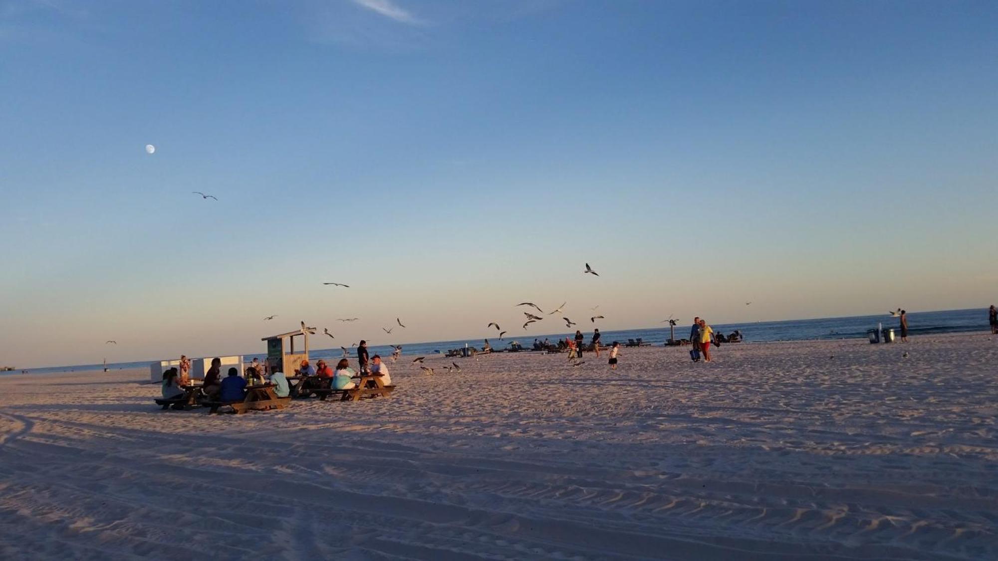 A Wave From It All Beach Resort Gulf Shores Exteriör bild